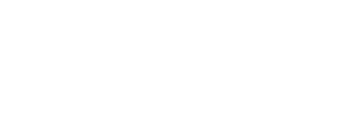 LionPromos